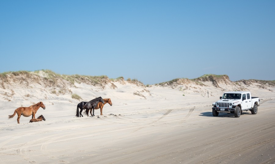 What Makes Corolla One of the Most Unique Outer Banks Destinations